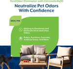 Eco-friendly patio and concrete pet odor eliminator spray application