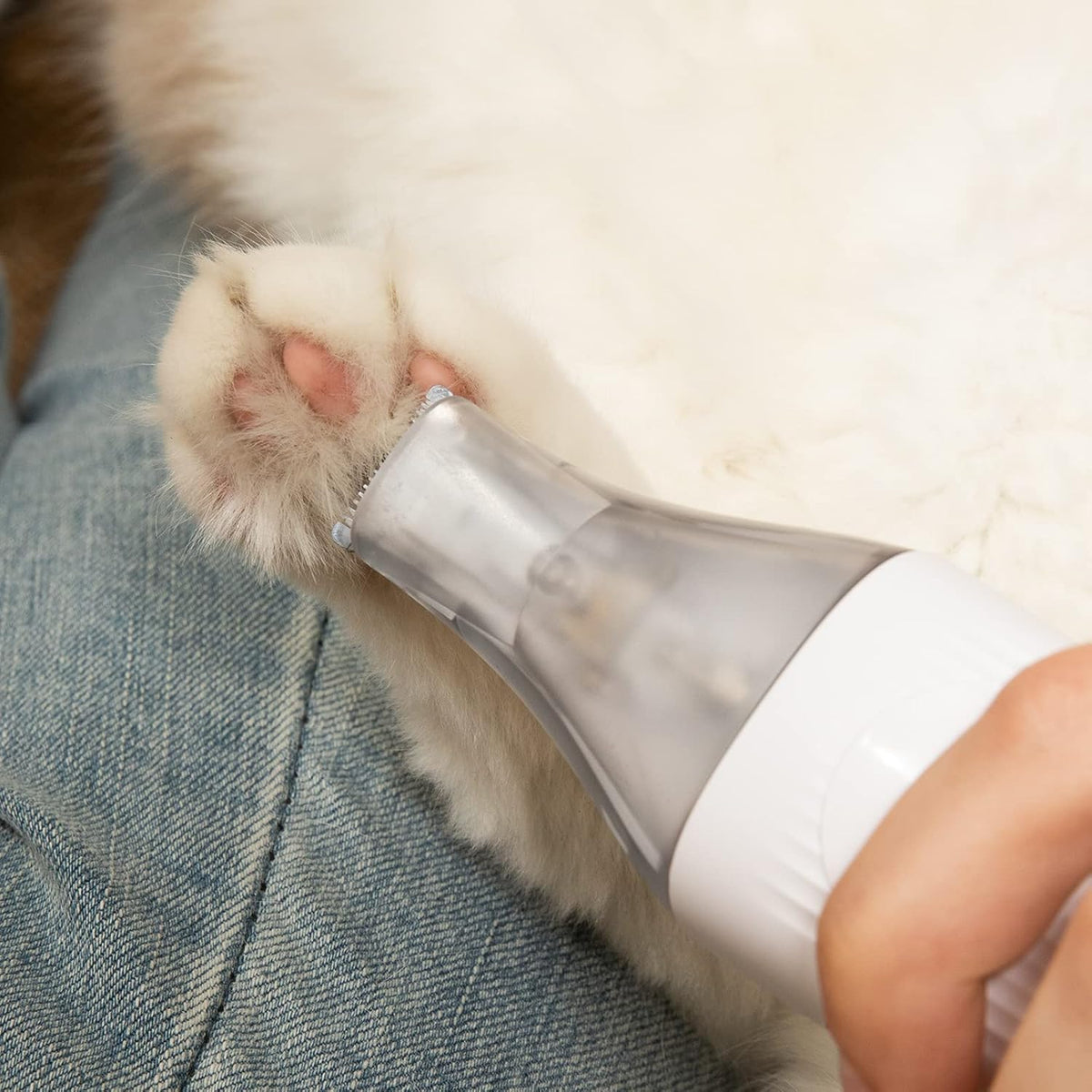 Afloia pet paw trimmer detachable blade head close-up