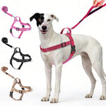 Annchwool No Pull Dog Harness with Front Clip and Easy Control Handle-Belly & Chest Adjustable Dog Harness and Leash Set for Medium Large Dogs-Heavy Duty Vest Harnesses Easy for Walking(Black,L) - Image 10