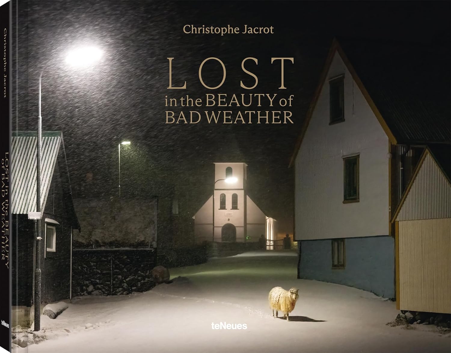 Lost in the Beauty of Bad Weather - Image 1