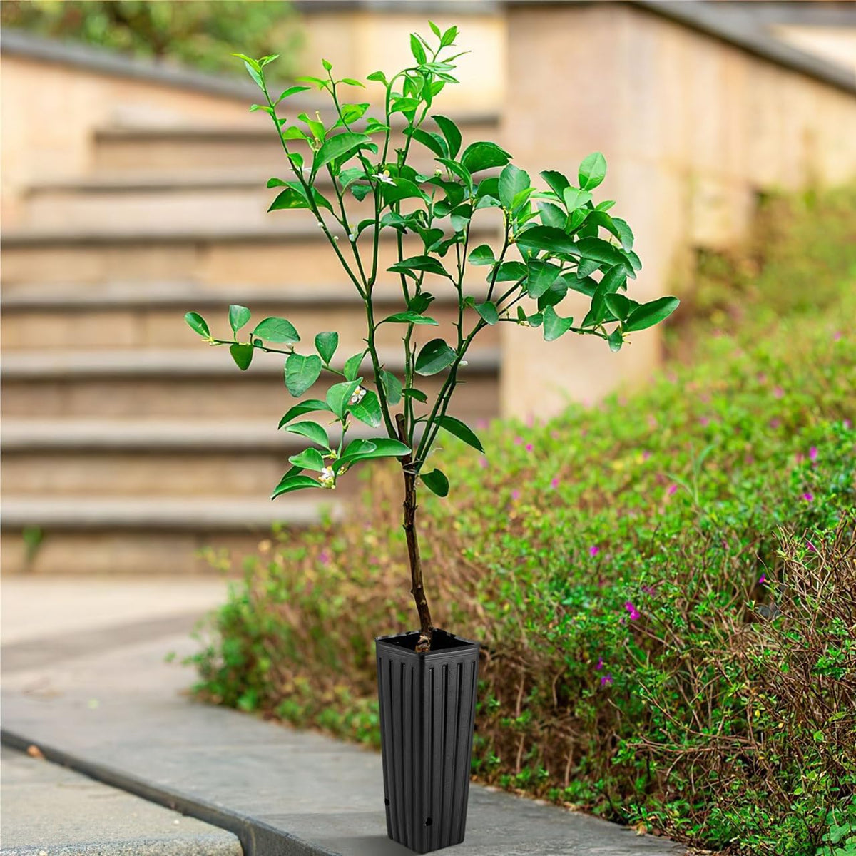 Hanabass 11.8 inch tall seedling pots for balcony gardening