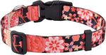 Mihqy dog collar front view in red floral pattern