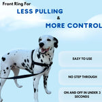 ShawnCo pet halter one-click quick-release buckle detail
