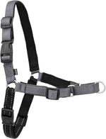 PetSafe Easy Walk Deluxe Dog Harness, No Pull Dog Harness - Perfect for Leash & Harness Training - Stops Pets from Pulling and Choking on Walks - Medium, Ocean - Image 9