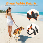 Fiveda USB-C rechargeable RGB light dog vest