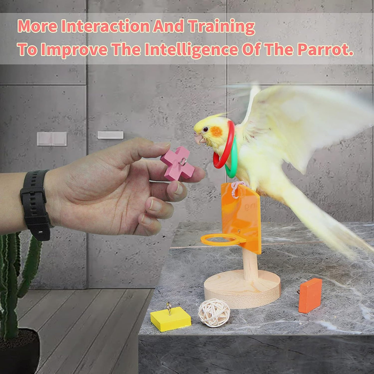 YUESUO non toxic natural wood bird chewing and foraging toys for conures