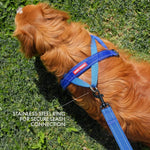 Detail of EzyDog soft neoprene padding and chest sleeve