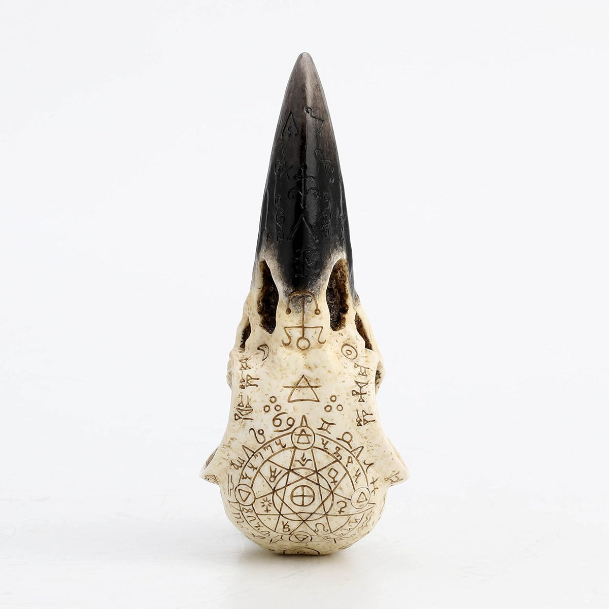 Side angle of the hand-painted resin raven skull decor.