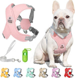 Patas Lague authentic USA imported dog harness and leash set full packaging