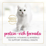 Purina Fancy Feast Classic Pate Texture Displayed In Bowl