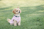 Jacko and Co small dog pullover fleece jacket on chihuahua close up