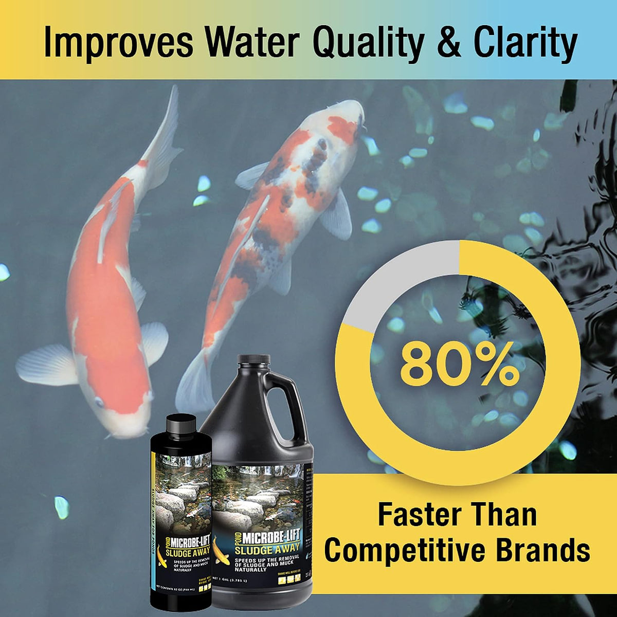 Microbe-Lift Sludge-Away application in koi pond