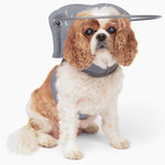 USA imported Muffin's Halo blind dog bumper collar accessory packaging view