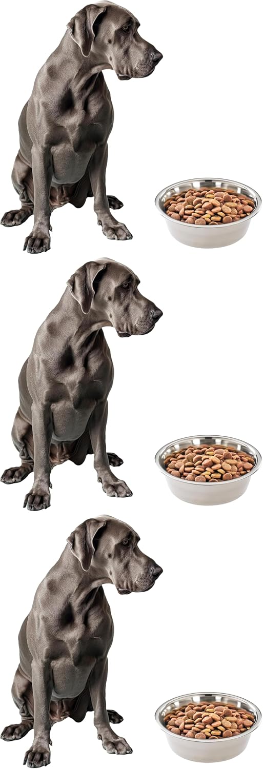 Spot brand pet bowl packaging and authentic import presentation
