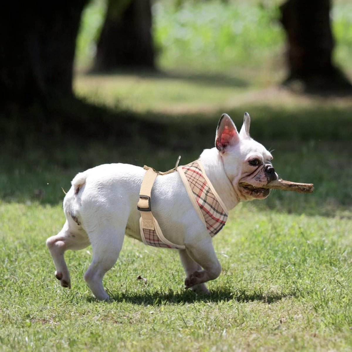 PUPTECK soft padded dog vest side profile