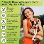 Eco-friendly dog harness close up of durable recycled webbing straps