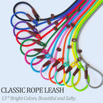 Seven feet MayPaw slip lead laid flat showcasing premium nylon material
