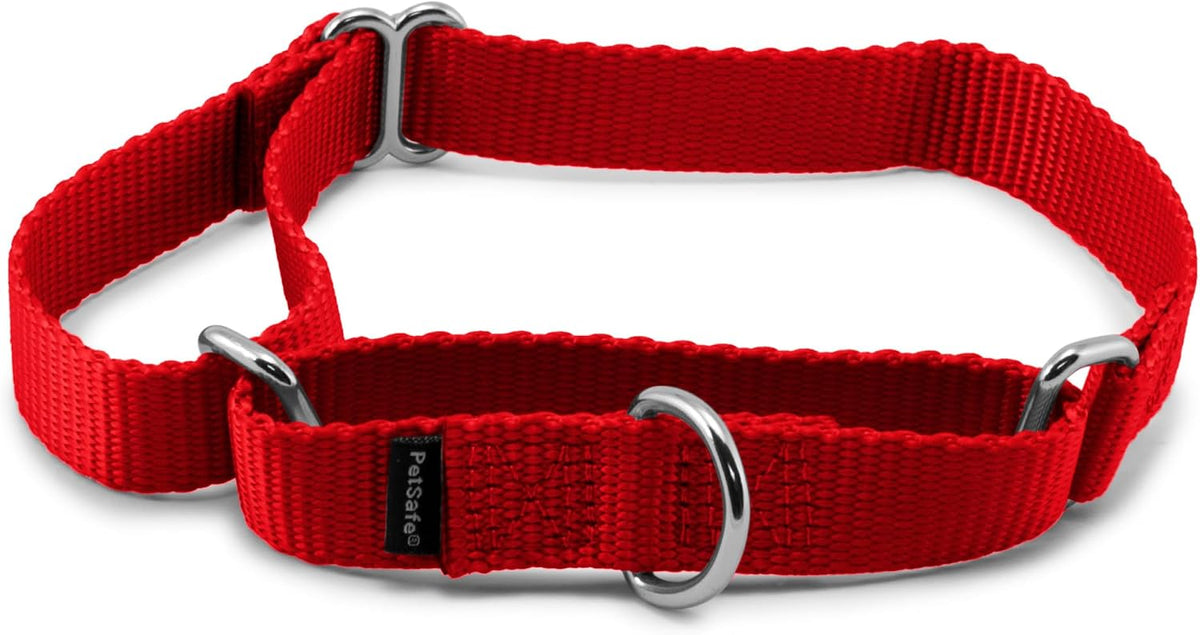 PetSafe martingale dog collar front view red medium