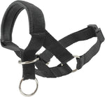 Dogs My Love dog head collar halter black front view on large dog snout