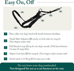Sporn large breed no pull harness on a Labrador walking