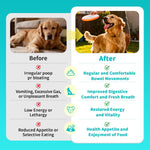 POPPAW dog probiotics with pumpkin fiber showing ingredient list and feeding dosage instructions.