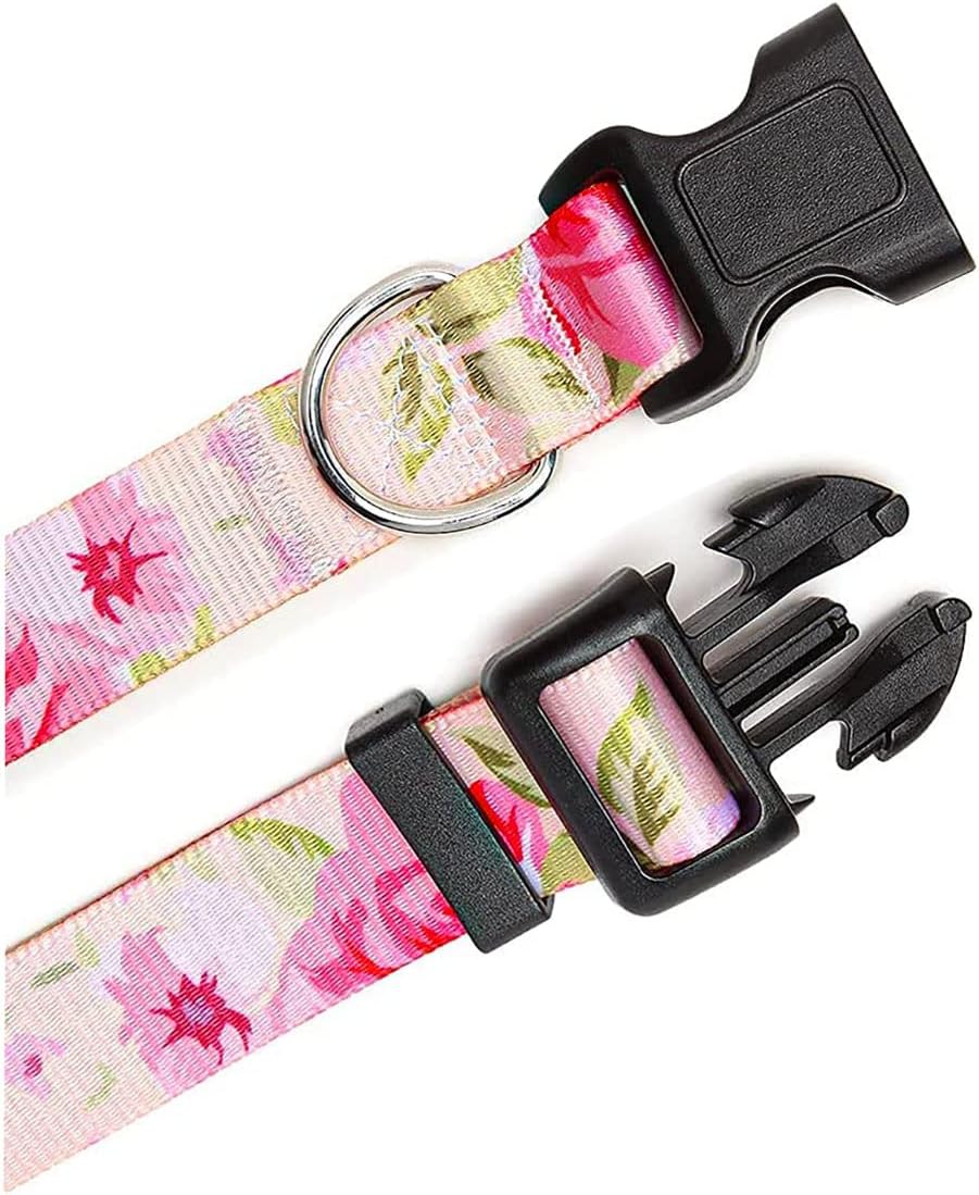 Mihqy extra small dog collar showcasing bohemian floral tribal design