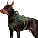 WINGOIN tactical dog harness front view showing heavy duty chest D-ring