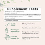 Micro Ingredients organic reishi mushroom extract powder texture and scoop