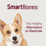 Dog enjoying SmartBones chicken wrapped twist sticks