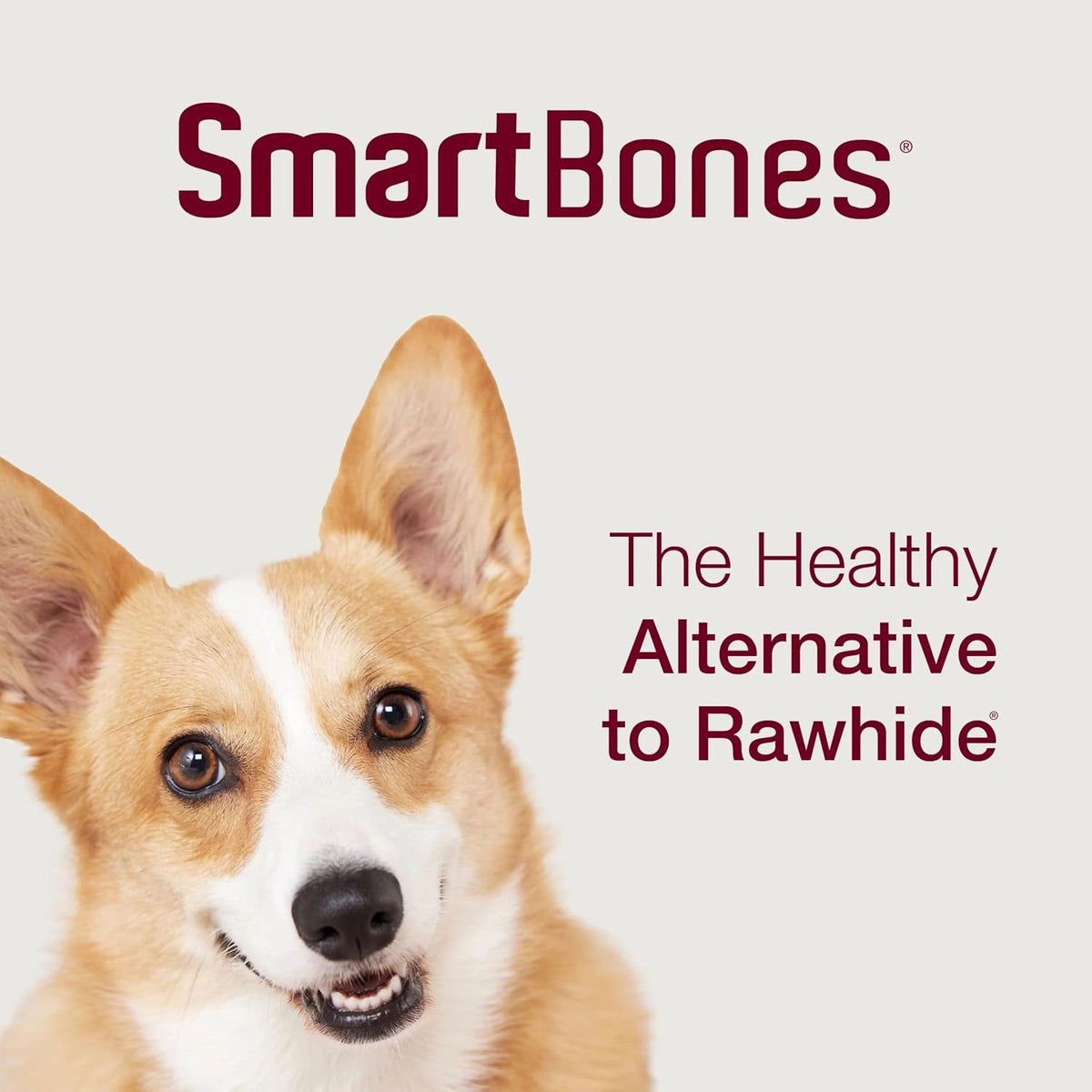 Dog enjoying SmartBones chicken wrapped twist sticks