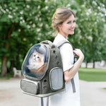Pawstrip cat backpack carrier interior safety tether detail