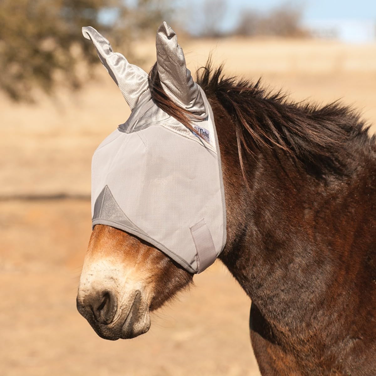 Cashel Crusader Mule Fly Mask Standard with Ears front view for weanlings
