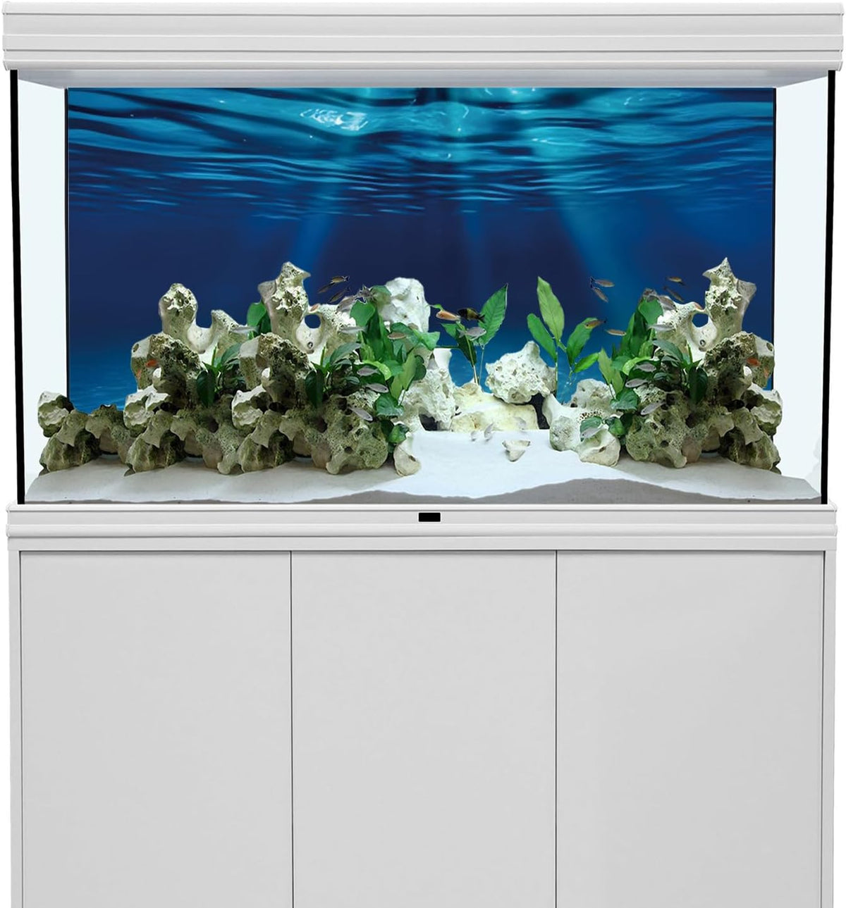 AWERT 120x60 cm fish tank background dimensions diagram for standard rectangular setups.