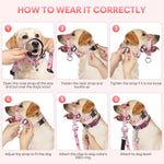 Ezierfy dog head collar quick release buckle detail