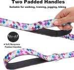 Six feet dog training lead with heavy duty rotating alloy swivel clasp.