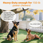 LOOBANI outdoor exercise play cord with replaceable braided chew rope toy