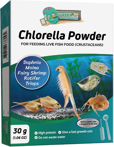 Concentrated Chlorella Powder for Feeding Crustaceans - Daphnia, Moina, Rotifer, Fairy Shrimp, and Other Live Fish Food - Image 1