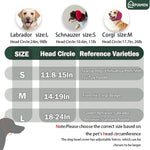Papiamen no shake ear wraps for dog hematoma recovery support