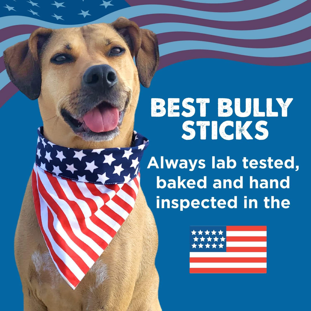 Best Bully Sticks premium quality inspected beef dog treats full product assortment