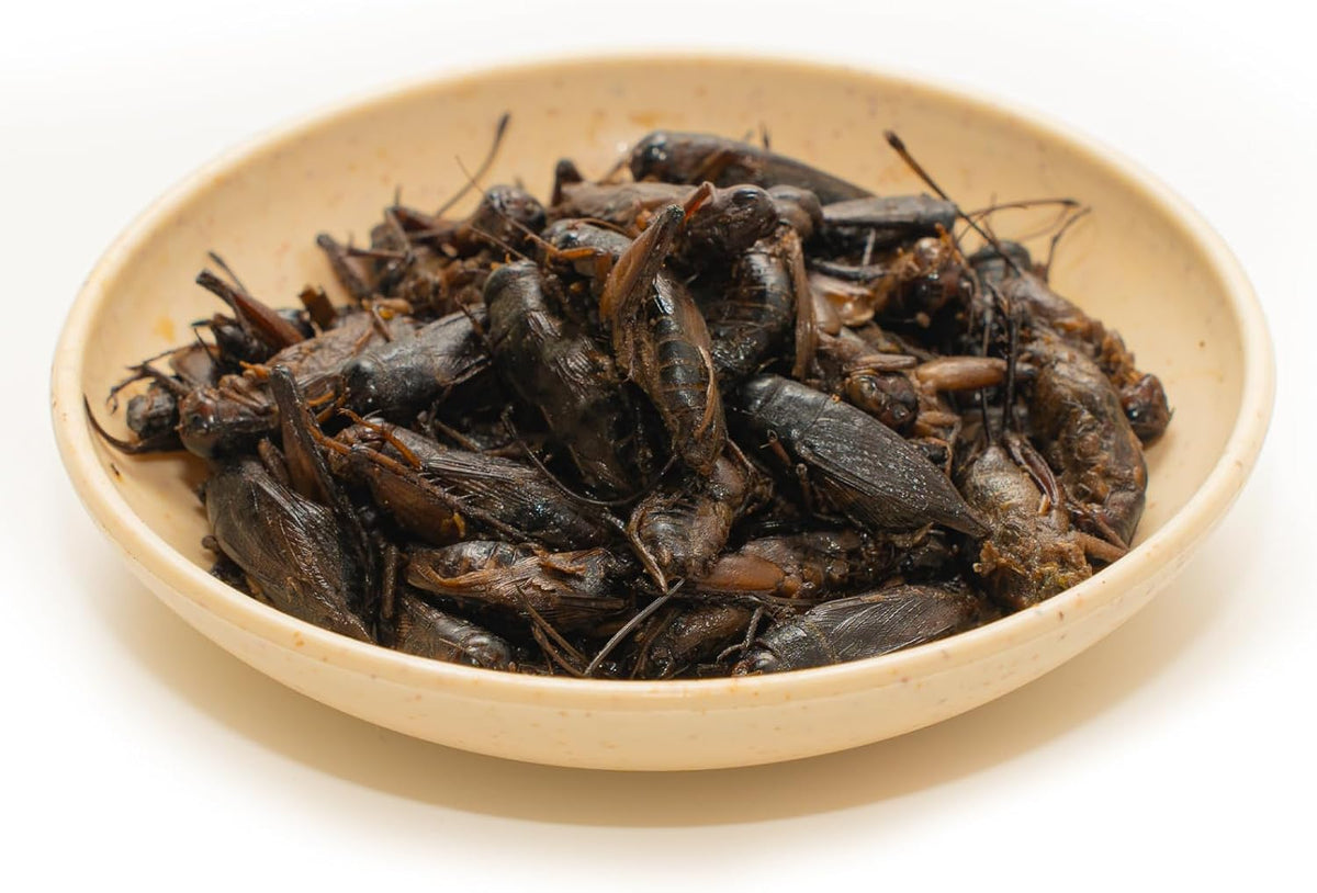 Nutritional facts on Jadingsfarm cricket treats container