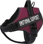 Reflective nylon stitching on voopet service pet vest for night safety