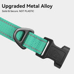 Joytale dog collar showing soft neoprene inner padding