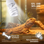 Repti Home compact fluorescent reptile light bulb for bearded dragons packaging view