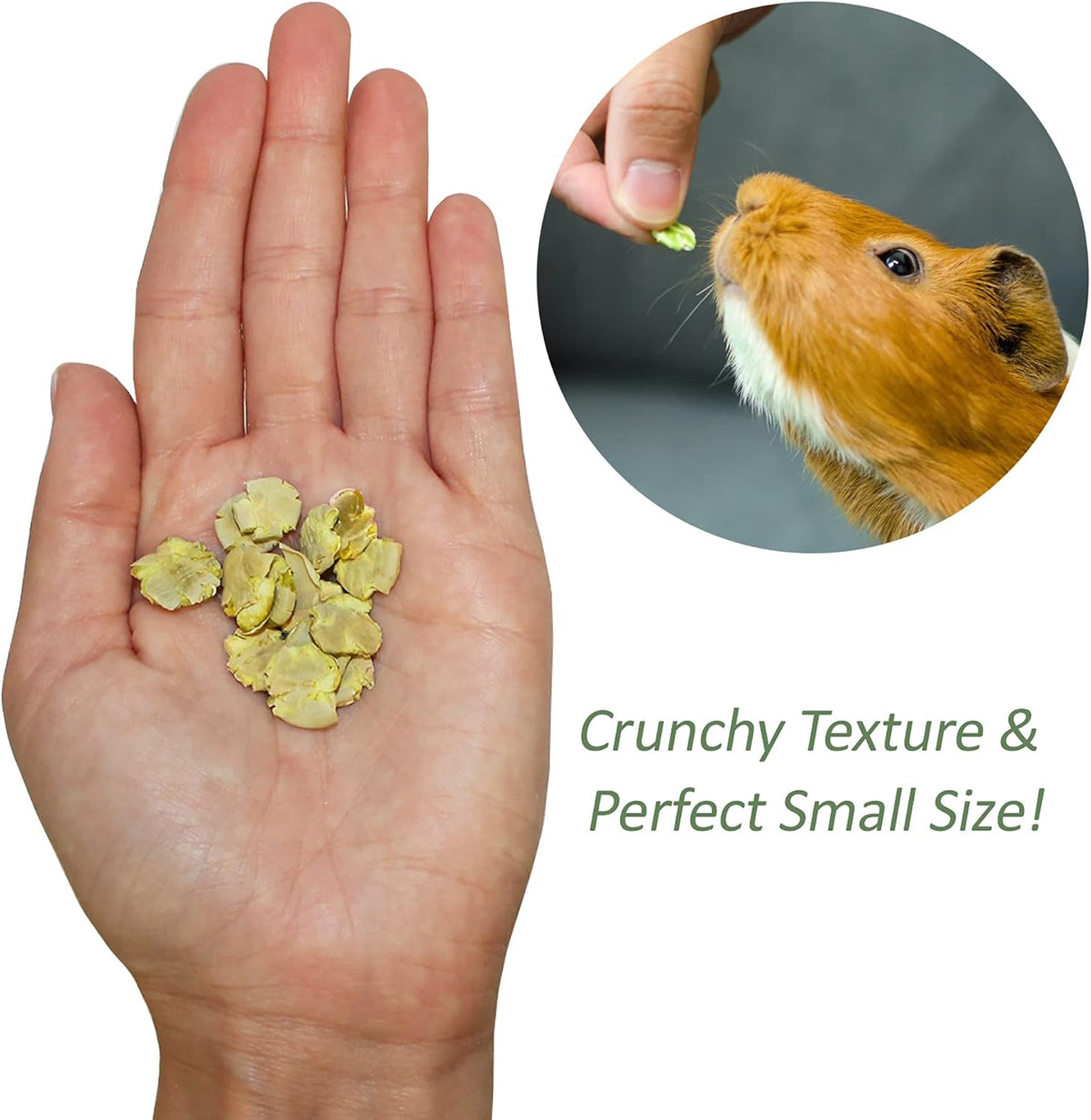 All natural dried green pea snacks ready for small animal feeding