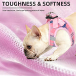 Matching leash with 360 degree rotation metal hook from PUPTECK