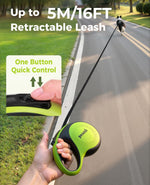 Close up of Pecute 360 degree tangle-free leash outlet
