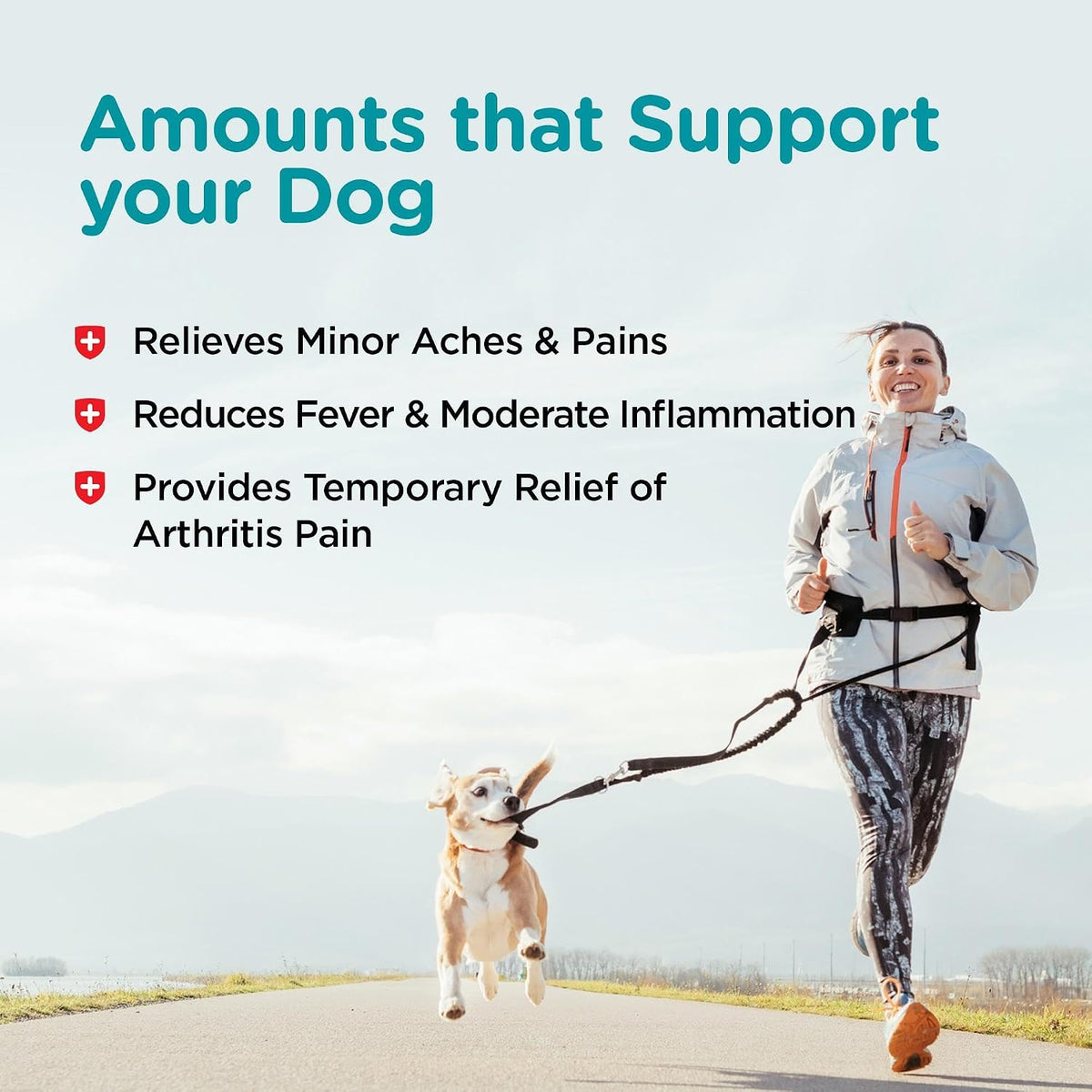 Authentic Nutri-Vet 75 count canine joint support supplement bottle highlighting the liver flavor.