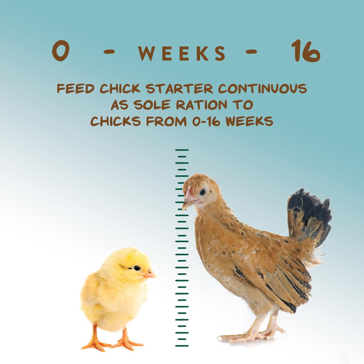 Manna Pro chicken feed packaging side view