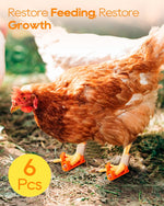 Lightweight veterinary grade splints for treating chicken fractures