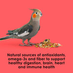 Kaytee Fiesta premium bird diet formulation chart focusing on digestive and brain health.